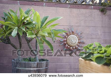 Potted plants in yard View Large Photo Image Stock Photo - Potted plants in yard. Fotosearch
