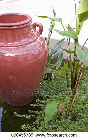 Red ceramic pot in fountain with plants; Irvine; California; USA View Large Photo Image Stock Photo - Red ceramic pot in fountain with plants; Irvine; California; USA. Fotosearch