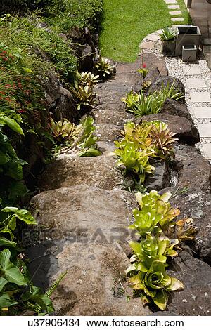 Rocky footpath with plants leading towards parkland View Large Photo Image Picture - Rocky footpath with plants leading towards parkland. Fotosearch