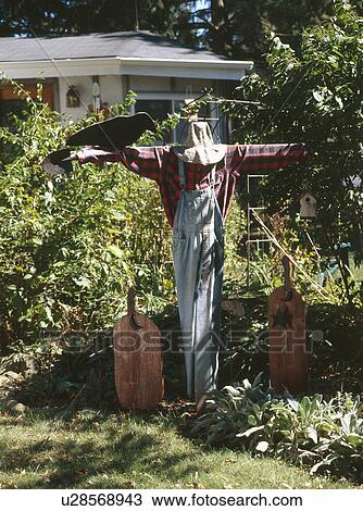 Scarecrow in garden of house View Large Photo Image Stock Image - Scarecrow in garden of house. Fotosearch