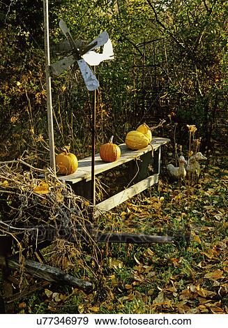 Stock Photo - Seasons/Fall: Three pumpkins on rustic bench, folk art whirligig, two wooden ducks on ground.. Fotosearch