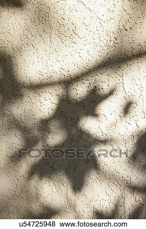 Stock Photo - Shadows from leaves on exterior wall; Burbank; California; USA. Fotosearch