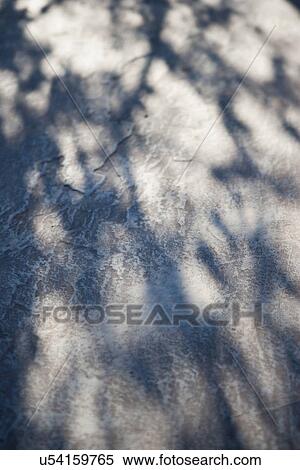 Shadows on wall surface; Irvine; California; USA View Large Photo Image Stock Photography - Shadows on wall surface; Irvine; California; USA. Fotosearch