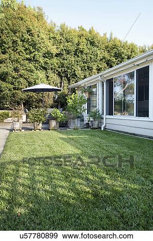 Small lawn behind ranch style home in San Diego, California, United States of America View Large Photo Image Stock Photo - Small lawn behind ranch style home in San Diego, California, United States of America. Fotosearch