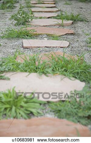 Stepping stones in yard; Porterville; California; USA View Large Photo Image Stock Image - Stepping stones in yard; Porterville; California; USA. Fotosearch