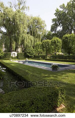 SWIMMING POOLS: Formal shaped hedge garden with narrow pool, angle view, garden wall with less boxwoods to left View Large Photo Image Picture - SWIMMING POOLS: Formal shaped hedge garden with narrow pool, angle view, garden wall with less boxwoods to left. Fotosearch