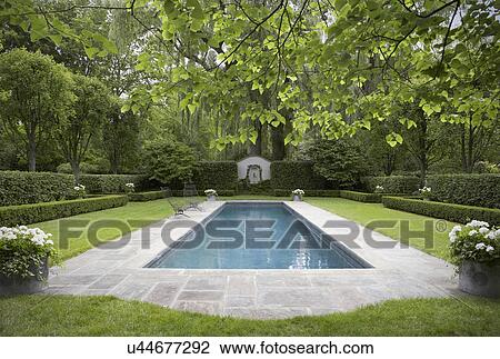 SWIMMING POOLS: Formal shaped hedge garden with narrow pool, bluestone patio, white flowers in grey containers, straight on view with curved edge of patio to camera View Large Photo Image Stock Image - SWIMMING POOLS: Formal shaped hedge garden with narrow pool, bluestone patio, white flowers in grey containers, straight on view with curved edge of patio to camera. Fotosearch