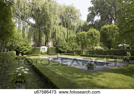 SWIMMING POOLS: Formal shaped hedge garden with narrow pool, angle view, horizontal, garden wall, white flowers, View Large Photo Image Stock Image - SWIMMING POOLS: Formal shaped hedge garden with narrow pool, angle view, horizontal, garden wall, white flowers,. Fotosearch
