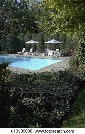 Swimming pools: Looking from garden to pool area. Tall shaped hedges around private pool, umbrellas, chaise lounges and table. Classical style. View Large Photo Image Stock Photograph - Swimming pools: Looking from garden to pool area. Tall shaped hedges around private pool, umbrellas, chaise lounges and table. Classical style.. Fotosearch