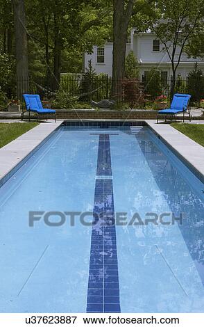 SWIMMING POOLS: looking straight on to lap pool, two bright blue cushioned lounge chairs, brick step, concrete edging, fish sculpture, black iron fences, hammock beyond View Large Photo Image Stock Photo - SWIMMING POOLS: looking straight on to lap pool, two bright blue cushioned lounge chairs, brick step, concrete edging, fish sculpture, black iron fences, hammock beyond. Fotosearch