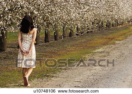 Stock Photograph - Teenage girl walking along path lined with almond blossoms. Fotosearch