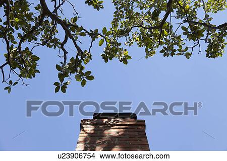 Picture - Top of chimney and tree leaves; Burbank; California; USA. Fotosearch