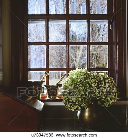Vase near a square shaped glass window View Large Photo Image Stock Image - Vase near a square shaped glass window. Fotosearch