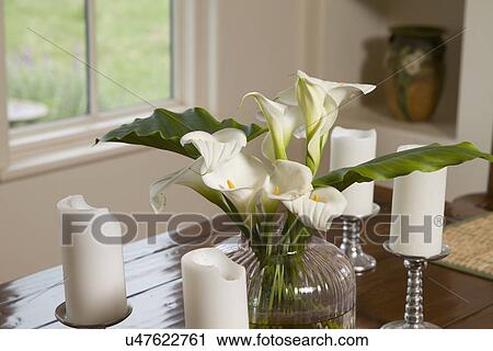 Vase of calla lilies and candles on table top; Carpinteria; California; USA View Large Photo Image Stock Image - Vase of calla lilies and candles on table top; Carpinteria; California; USA. Fotosearch