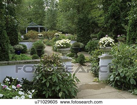 Walled Garden. Area in garden. White petunias. Asters, semi formal white walls separate, sections of garden, each wall topped with an urn filled with mums, various flowering shrubs, looking to pavilion with crabapple trees in rows along walkway. View Large Photo Image Stock Photography - Walled Garden. Area in garden. White petunias. Asters, semi formal white walls separate, sections of garden, each wall topped with an urn filled with mums, various flowering shrubs, looking to pavilion with crabapple trees in rows along walkway. . Fotosearch