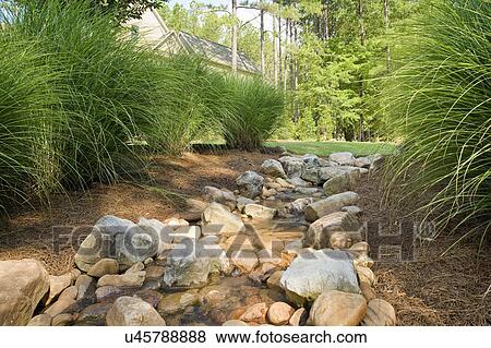 Water streaming through rocks in parkland View Large Photo Image Stock Photo - Water streaming through rocks in parkland. Fotosearch