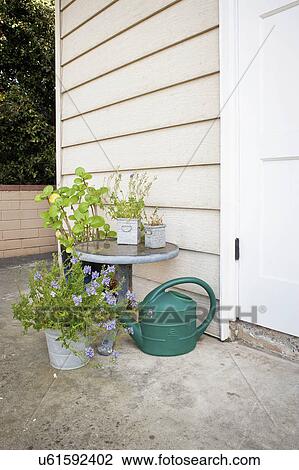 Watering can with potted plants in yard View Large Photo Image Stock Image - Watering can with potted plants in yard. Fotosearch