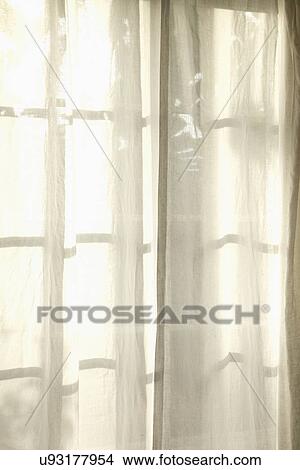 Picture - White fabric curtains in front of window; Carpinteria; California; USA. Fotosearch