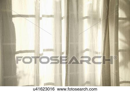 Stock Photograph - White fabric curtains in front of window; Carpinteria; California; USA. Fotosearch