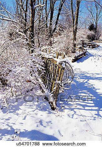 WINTER SEASON: snowy scene with trees, old weathered fence View Large Photo Image Stock Photo - WINTER SEASON: snowy scene with trees, old weathered fence. Fotosearch