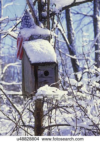Picture - WINTER: Snow on birdhouse in woods, American flag on top.. Fotosearch