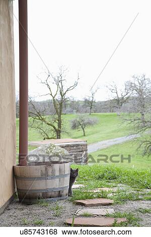 Stock Photo - Wooden barrel below drain pipe; Porterville; California; USA. Fotosearch