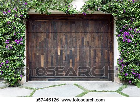 Stock Photograph - Wooden garage door and ivy growing on wall, California, USA. Fotosearch