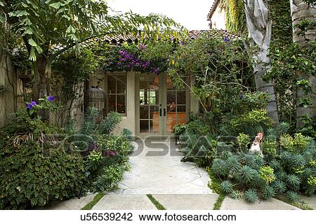 Yard of a house with green plants, California, USA View Large Photo Image Stock Image - Yard of a house with green plants, California, USA. Fotosearch