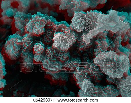 Stock Image - 3D SEM image, 8 degree tilt. Fotosearch
