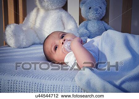 Baby boy and teddy bears in crib at night View Large Photo Image Stock Image - Baby boy and teddy bears in crib at night. Fotosearch