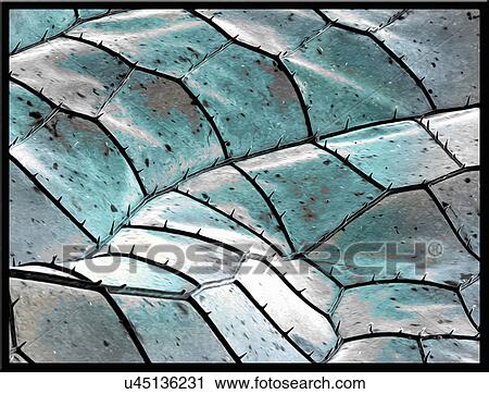Stock Image - Blue dragonfly wing, SEM, color enhanced. Fotosearch