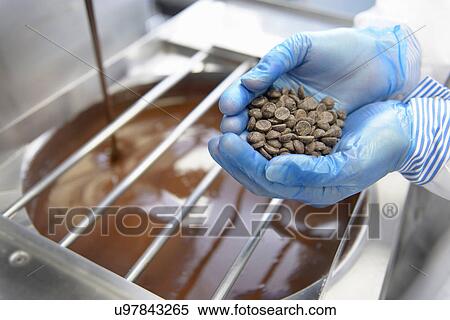 Stock Photography - Chocolatier with a handful of chocolate pieces in sweet factory. Fotosearch