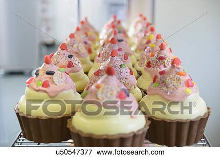 Close up of giant chocolate cupcakes in sweet factory View Large Photo Image Stock Photo - Close up of giant chocolate cupcakes in sweet factory. Fotosearch