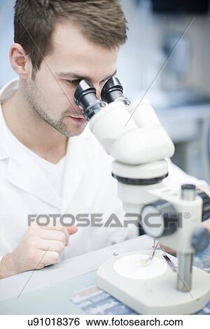 Stock Photograph - Dental technician looking through microscope at false tooth. Fotosearch