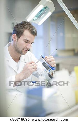 Dental technician making denture View Large Photo Image Stock Photography - Dental technician making denture. Fotosearch