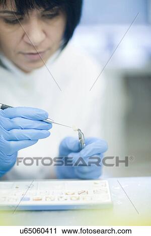 Stock Image - Dental technician working on false tooth. Fotosearch