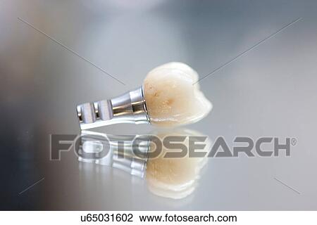 False tooth on reflective background View Large Photo Image Stock Image - False tooth on reflective background. Fotosearch