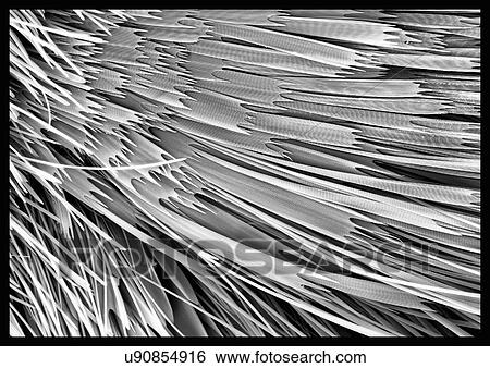 Stock Photograph - Moth scales, SEM. Fotosearch