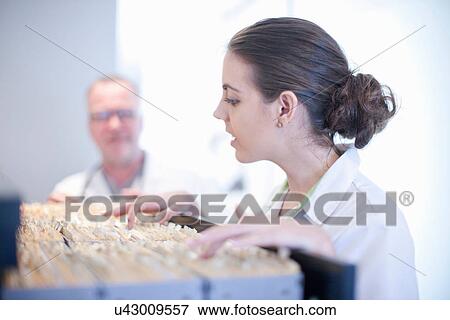 Nurse looking through hospital index cards View Large Photo Image Stock Photo - Nurse looking through hospital index cards. Fotosearch