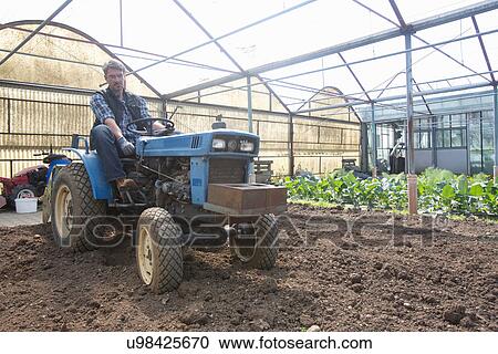 Stock Image - Organic farmer on tractor maintaining soil in polytunnel. Fotosearch