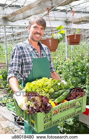 Stock Image - Portrait of organic farmer carrying a tray of fresh produce. Fotosearch