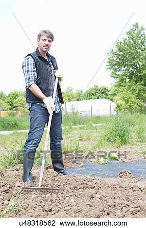 Portrait of organic farmer raking soil View Large Photo Image Stock Image - Portrait of organic farmer raking soil. Fotosearch