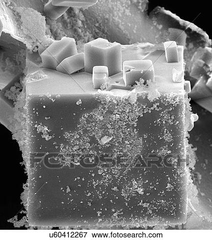 Stock Photo - Salt cube, SEM. Fotosearch