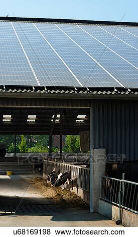 Solar panels on barn roof, Waldfeucht-Bocket, Germany View Large Photo Image Stock Photo - Solar panels on barn roof, Waldfeucht-Bocket, Germany. Fotosearch