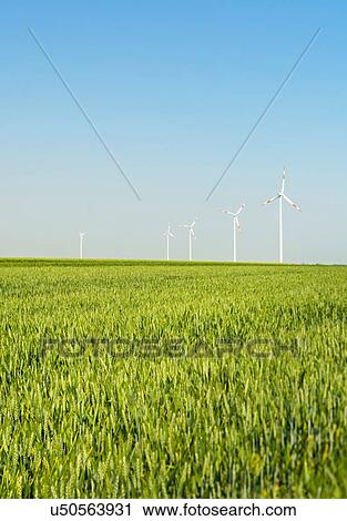 Wind turbines, Selfkant, Germany View Large Photo Image Stock Image - Wind turbines, Selfkant, Germany. Fotosearch