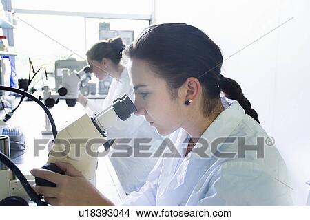 Picture - Biology students using microscopes. Fotosearch