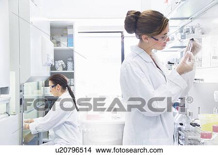 Picture - Biology students working in lab. Fotosearch