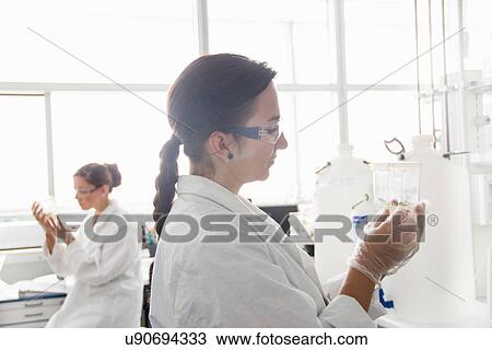 Biology students working in lab View Large Photo Image Stock Image - Biology students working in lab. Fotosearch