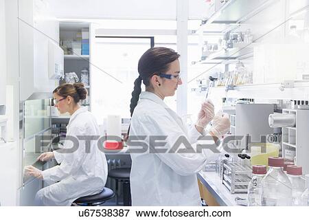 Stock Photo - Biology students working in lab. Fotosearch