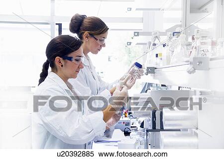Biology students working in lab View Large Photo Image Stock Photography - Biology students working in lab. Fotosearch